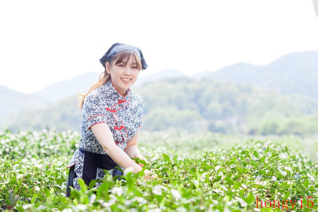 不怕红杏出墙就怕野花进房（红杏出墙什么意思）(图1)