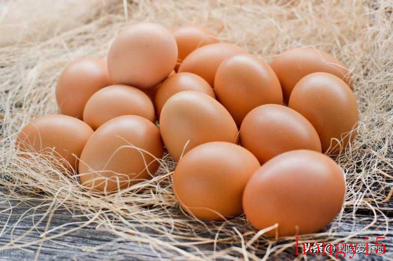 哪种品种鸡蛋好（初生蛋和普通蛋的区别）(图3)