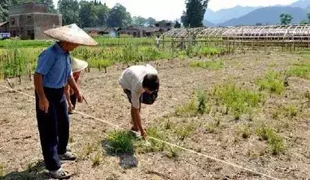 土地亩数和平方米换算（每亩土地是多少平方米）(图3)