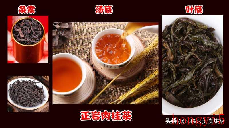 武夷山岩茶肉桂和大红袍的区别（正岩肉桂茶属于什么茶）(图3)