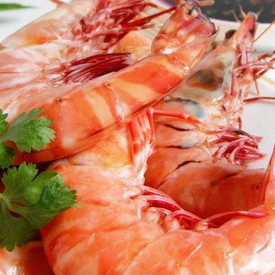 九节虾价格多少钱一斤  做法有哪些