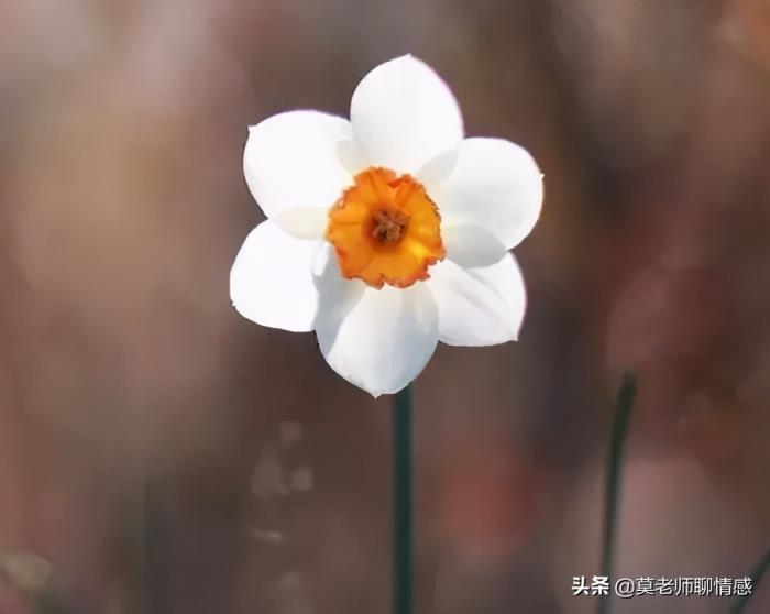 女人出轨后还能挽回吗（女人出轨的四个