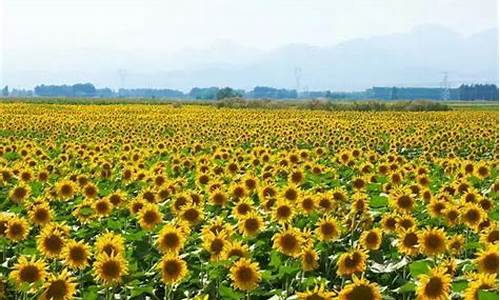 银川中秋节旅游推荐景点,适合中秋节旅游