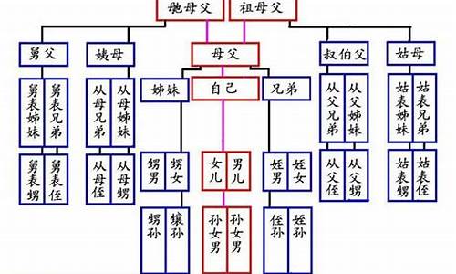 爸爸弟弟的儿子怎么称呼(爸爸弟弟的儿子